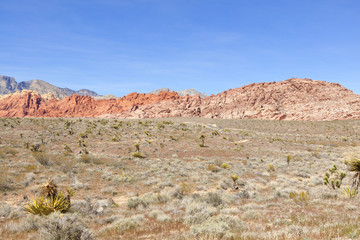 View of Mojave Desert.
