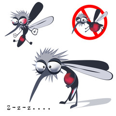 mosquito
