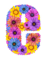 Alphabet from colorful dewy flowers