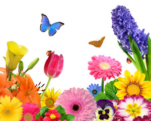 floral background with butterfly