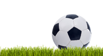 Classic soccer ball on grass