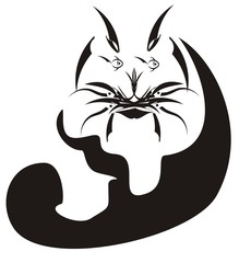 Vector cat with eyes of fish