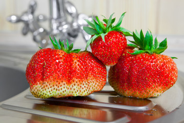 Washed fresh strawberries at the kitchen tap