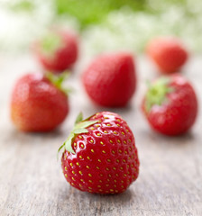 fresh red strawberries