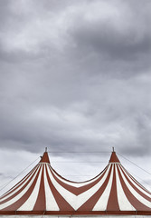 Circus in town