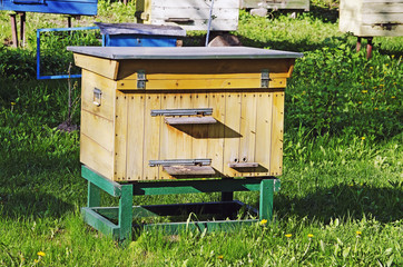 Beehive