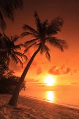 Foto op Canvas A beach scene with sunset in the background at Maldives island © Ljupco Smokovski