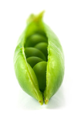 macro pea