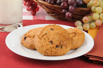 Chocolate chip cookies with milk on a picnic table