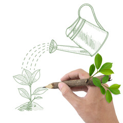 Male hand drawing green plant and watering can. © graphixmania