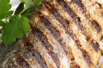 Форель Trout Forellen Trucha Trota 鱒魚