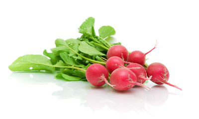 Fresh radishes on white close-up