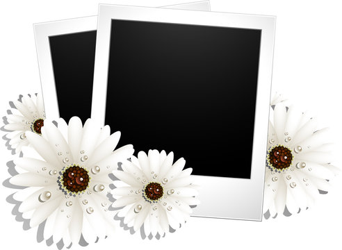 Two blank photos and flowers