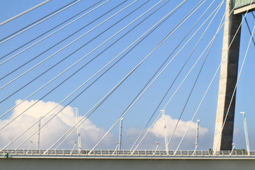 Obraz premium The Megyeri bridge