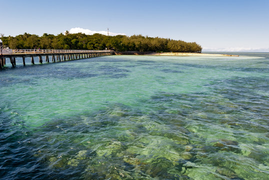 Paradise tropical Island (Green Island, Queensland, Australia)