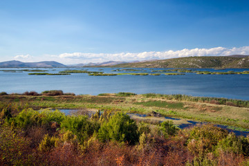 National Park - Hutovo Blato, Bosnia and Herzegovina