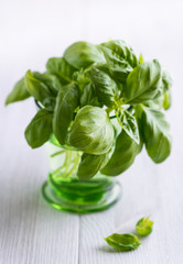 Fresh basil in a glass