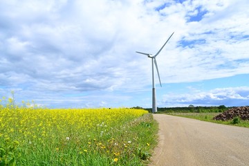 Windmill