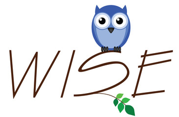 Wise owl twig text isolated on white background