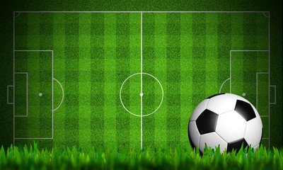 football in green grass on white background - 42098211