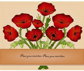 Beautiful card with poppies