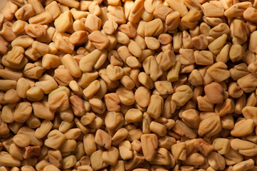 Fenugreek