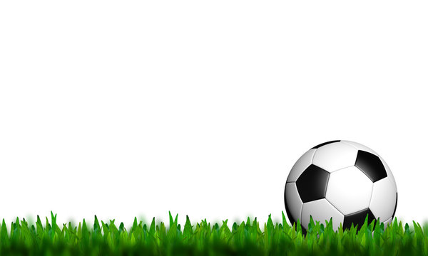 football in green grass on white background