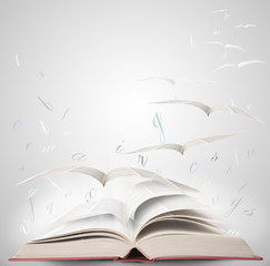 Magic book