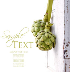 two artichokes hanging from a vintage door