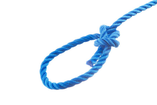 Bowline knot