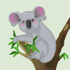 Koala on a tree.