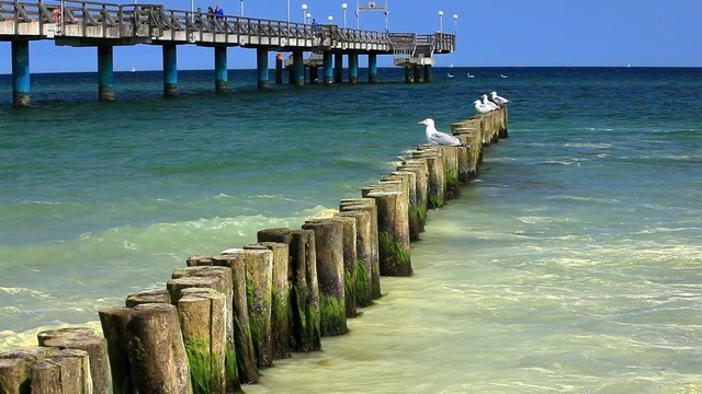 Blick auf die Seebr&uuml;cke von Heiligendamm an Ostseek&uuml;st
