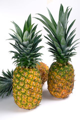 Fototapeta premium Pineapples