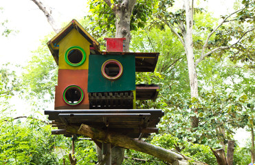 Animals house on the tree