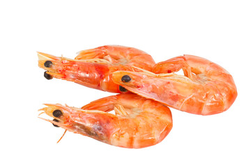 three boiled shrimp