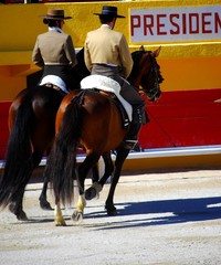 Spectacle équestre