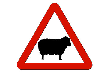 Peligro ovejas