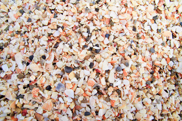 Sea shells background