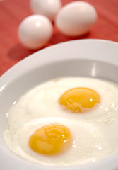 fried egg