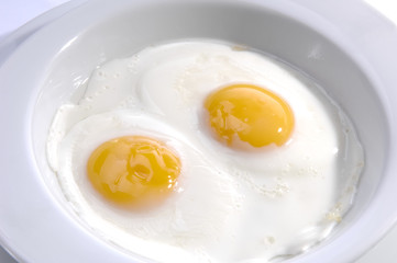 fried egg
