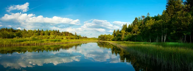Foto op Plexiglas Landschap met rivier en bos in de zomer © Daniel Vincek