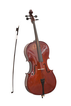 violoncello