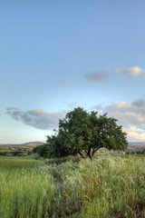 Latchi Beach near Polis in Cyprus
