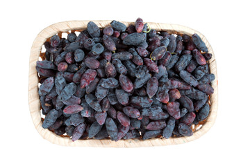 .honeysuckle berries