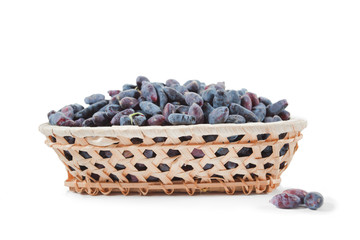.honeysuckle berries