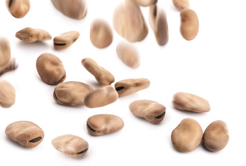 Flying bean. On white background