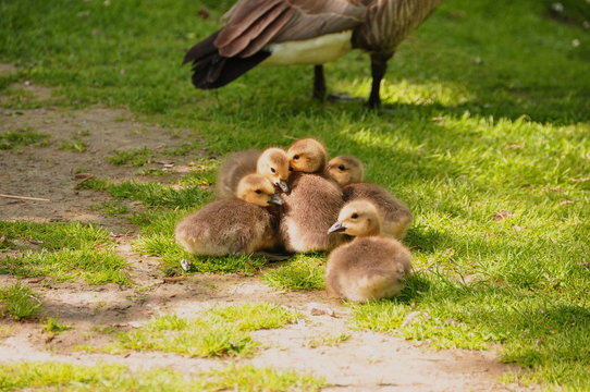 Keeping Warm with Family