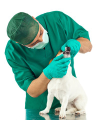 Visita ai denti del cane