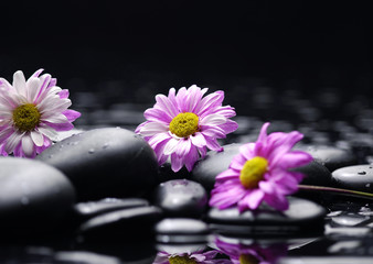 Fototapeta na wymiar Martwa natura z trzema kwiat gerbera na Zen Kamyczki