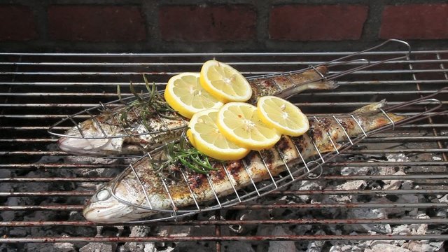 Grillen - 011 - Forelle